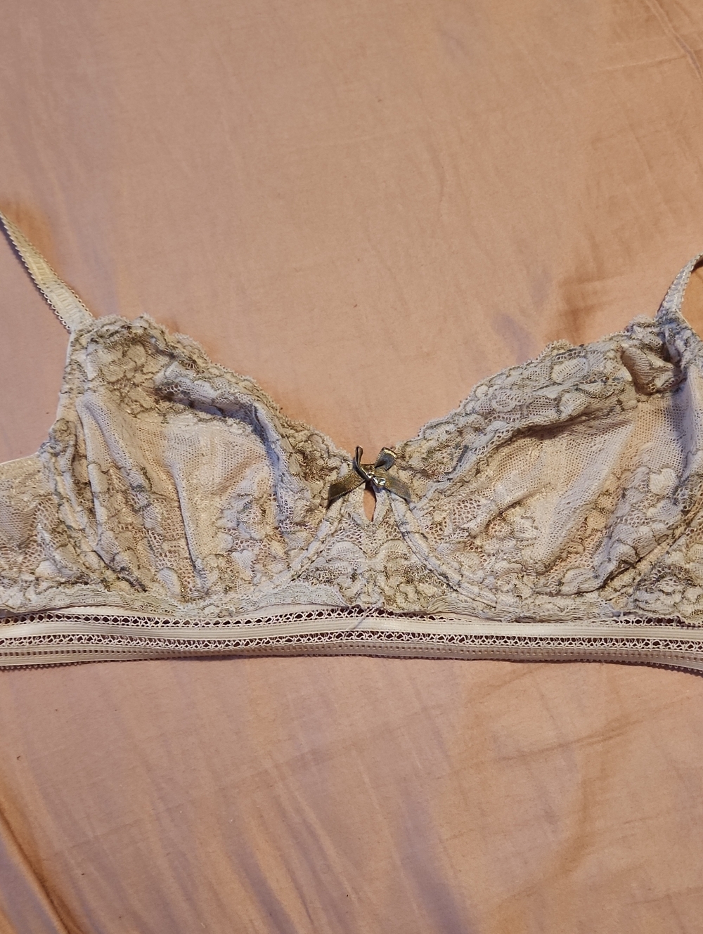 La Vie En Rose Lace Grey Pink Underwire Bra